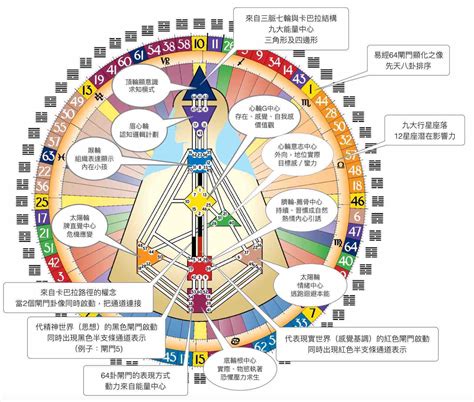 人類圖解說|【人類圖】人類圖分析》人類圖的36條通道懶人包～找。